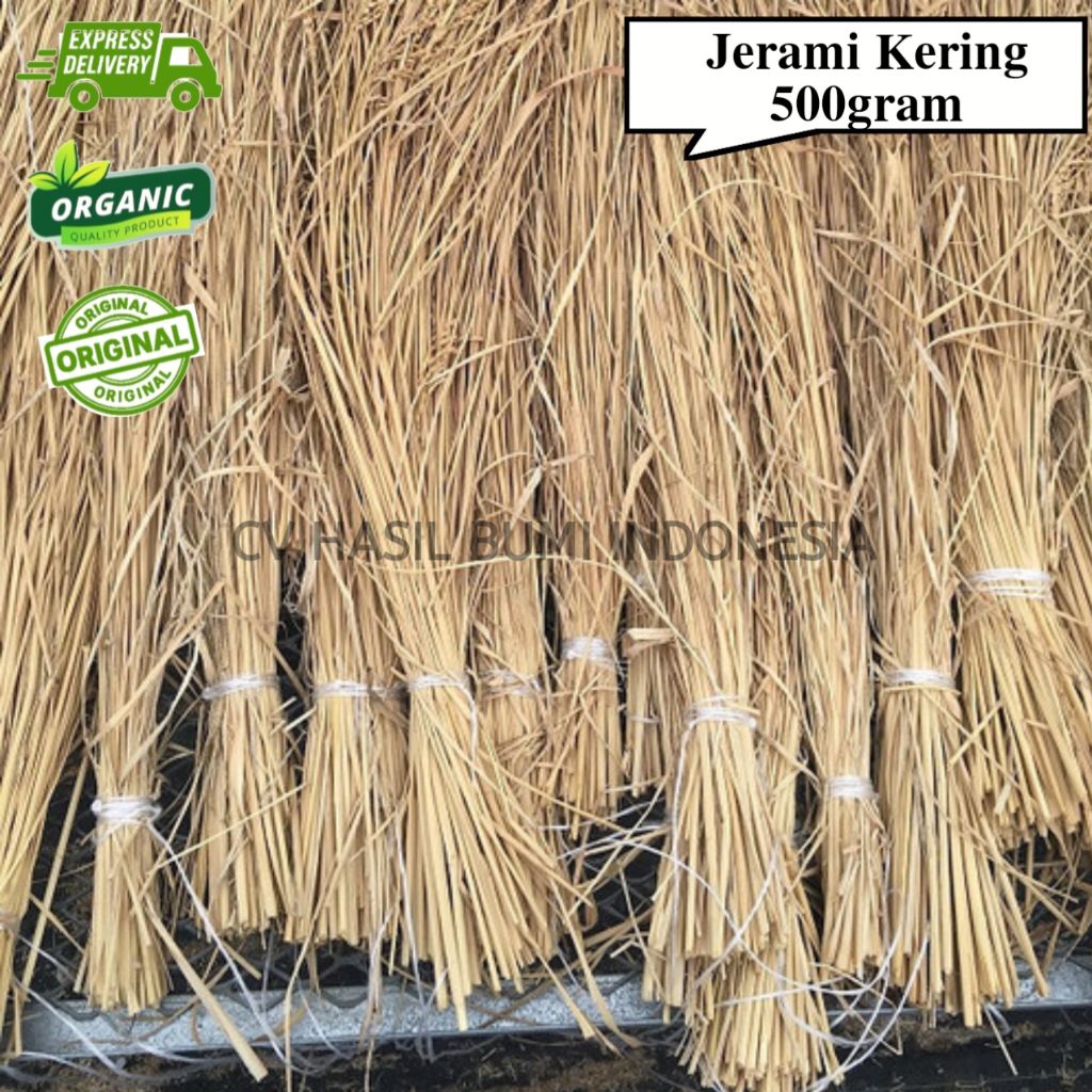 Jerami kering / padi kering / untuk kelinci & dekorasi 500gram