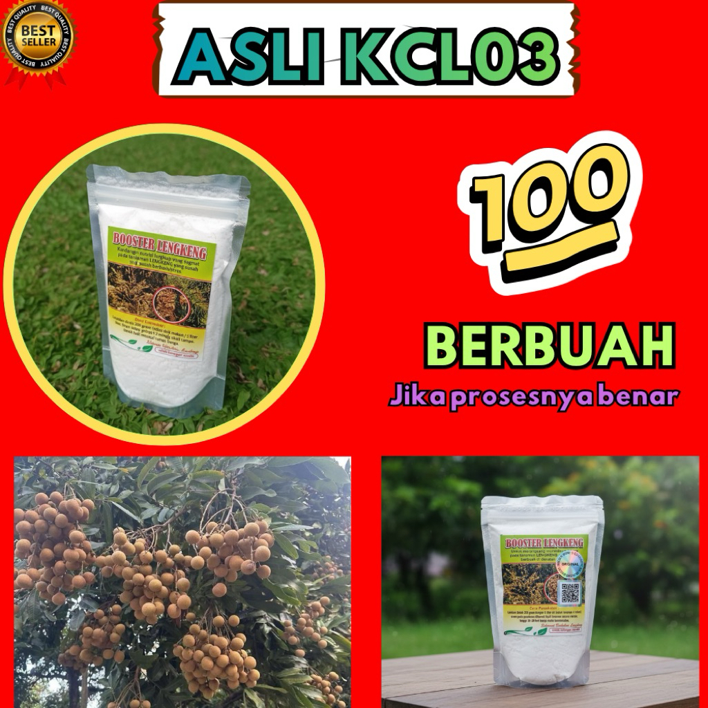 Booster Kelengkeng Terbaik, Booster Kelengkeng Terdekat