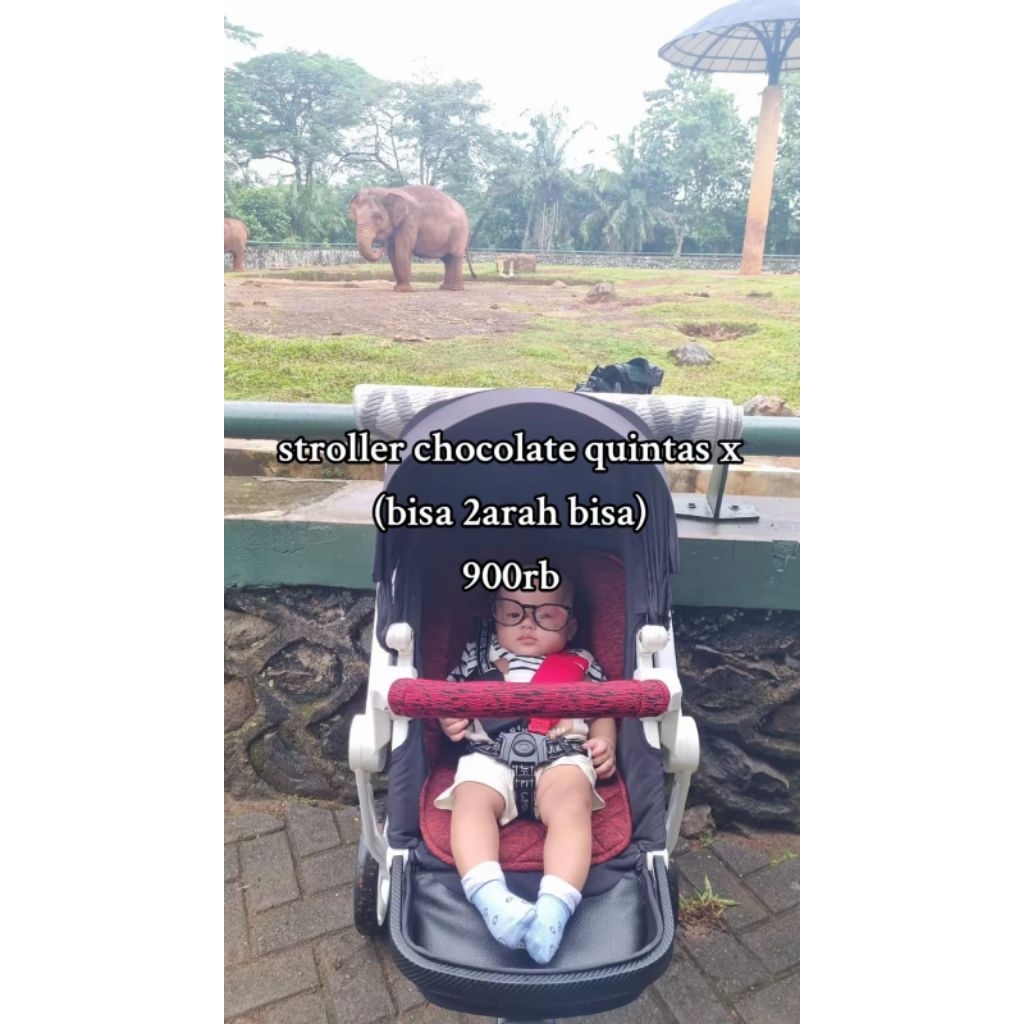 stroller cocolate quintas likenew