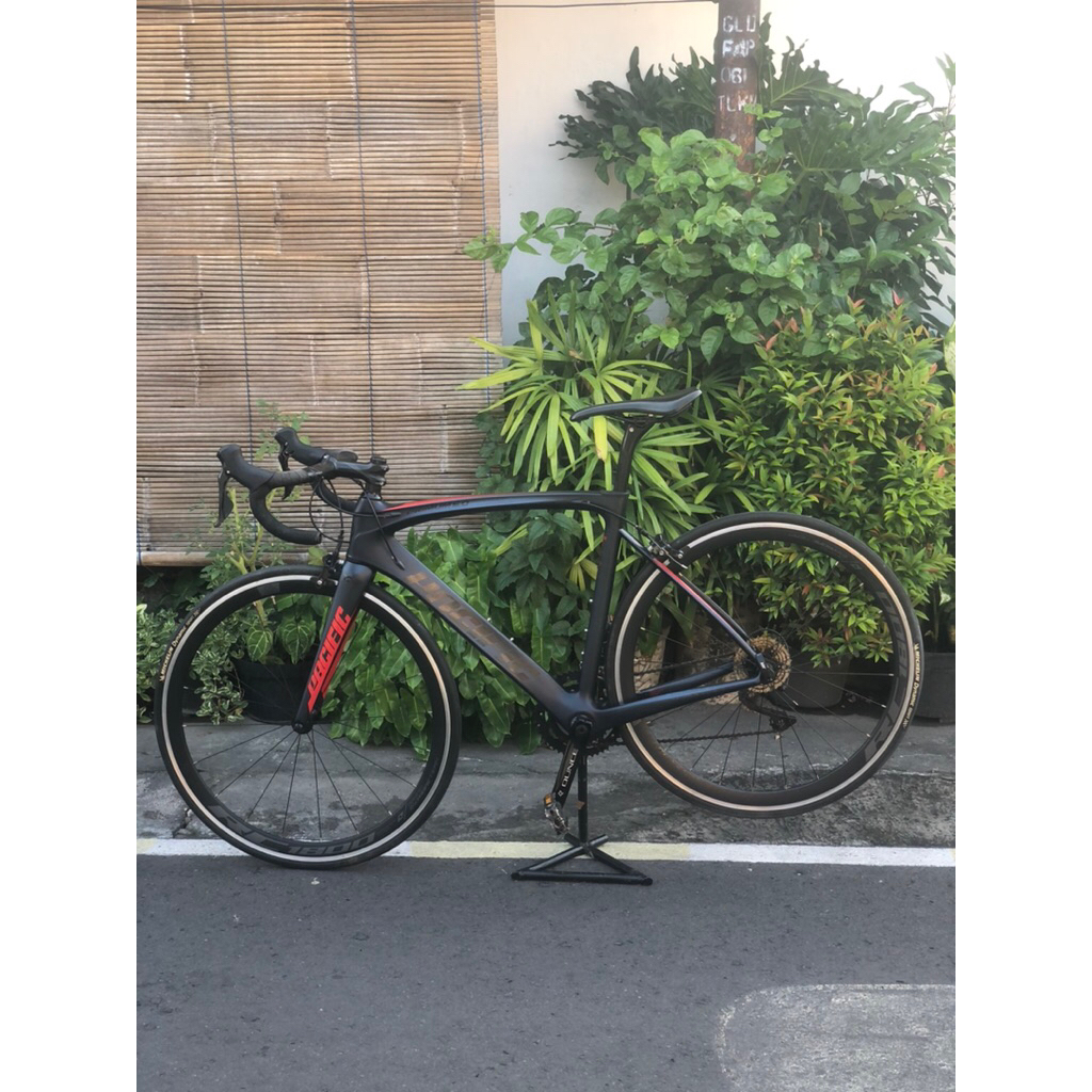 Roadbike Pacific Primum 5.0 Carbon (Selama produk ada berarti READY)