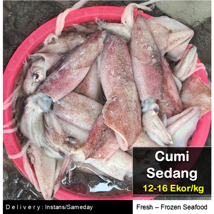 CUMI CUMI UKURAN SEDANG | BEKU SEGAR (KEMASAN 500g)