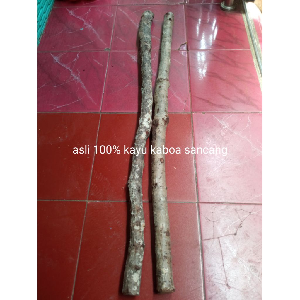 Kayu Kaboa Sancang Asli 100%