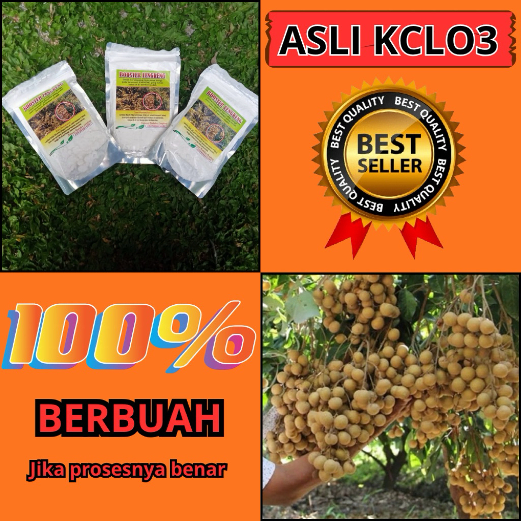 Boster Kelengkeng Itoh, Boster Kelengkeng Kclo3