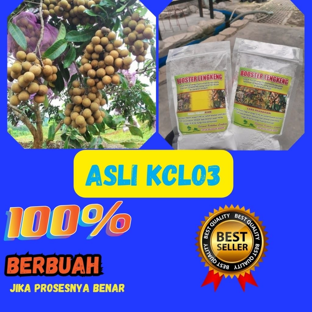 Pupuk Kelengkeng Kclo3, Pupuk Kelengkeng Merah, Pupuk Kelengkeng New Kristal