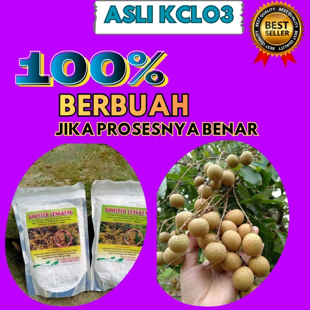 Booster Kelengkeng Buat Kelengkeng, Booster Kelengkeng Cair, Booster Kelengkeng Itoh