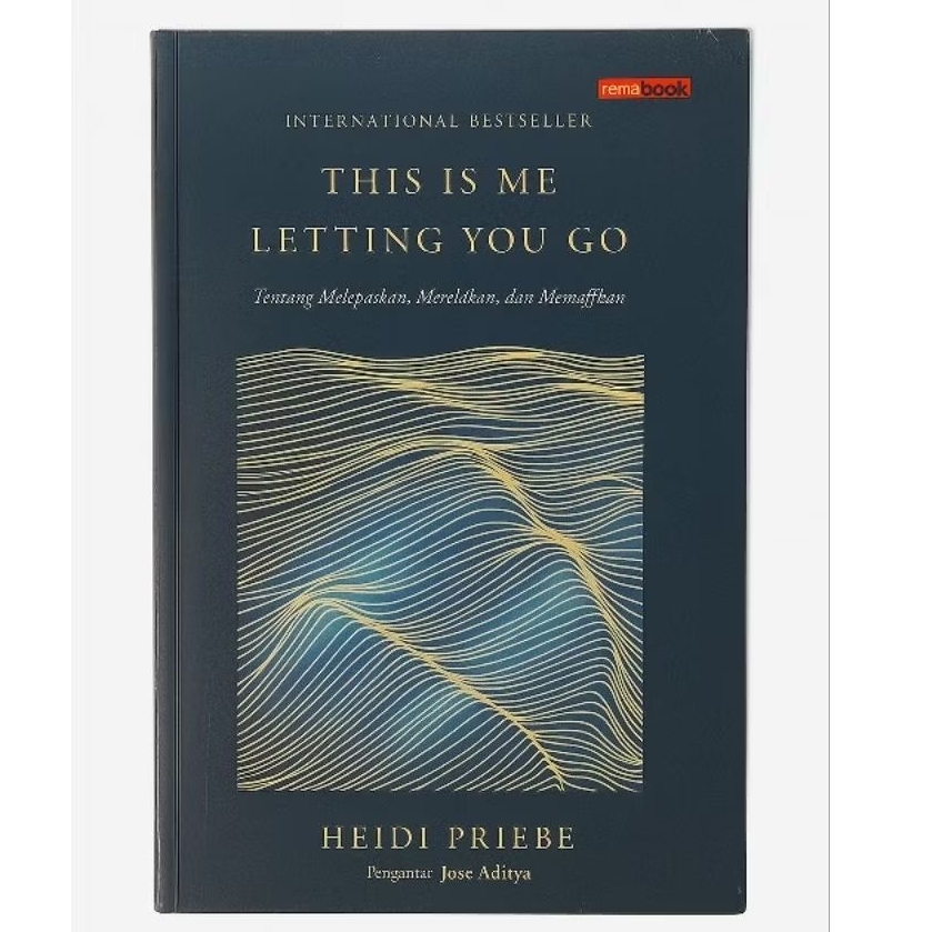 This Is Me Letting You Go (Heidi Priebe)