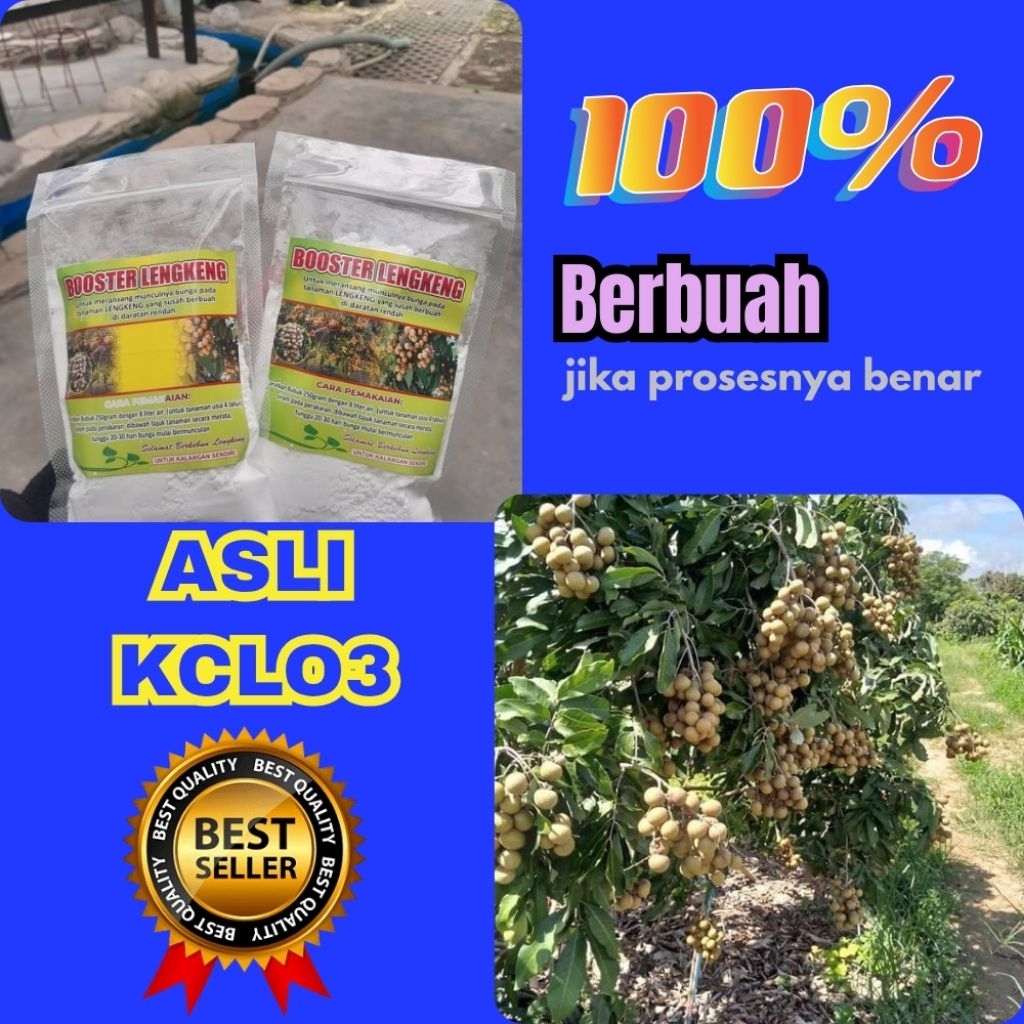 Boster Kelengkeng Cair, Boster Kelengkeng Itoh, Boster Kelengkeng Kclo3