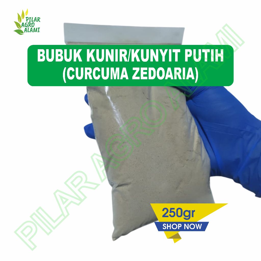 Bubuk kunyit putih 250gr original bermanfaat untuk kesehatan