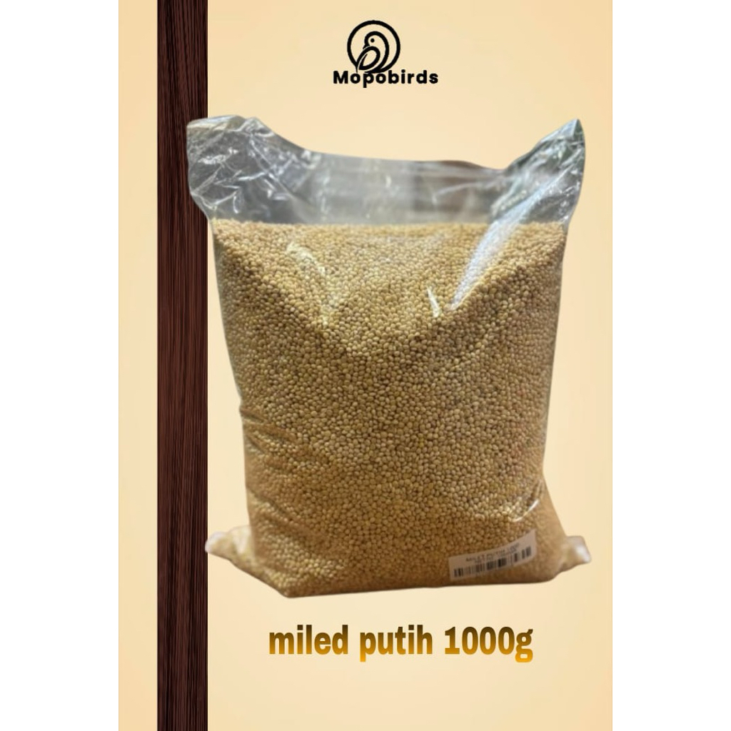 Biji miled / milet putih, pakan kenari, lovebird dan finch, kemasan 1kilo/ 1kg/ 1000g