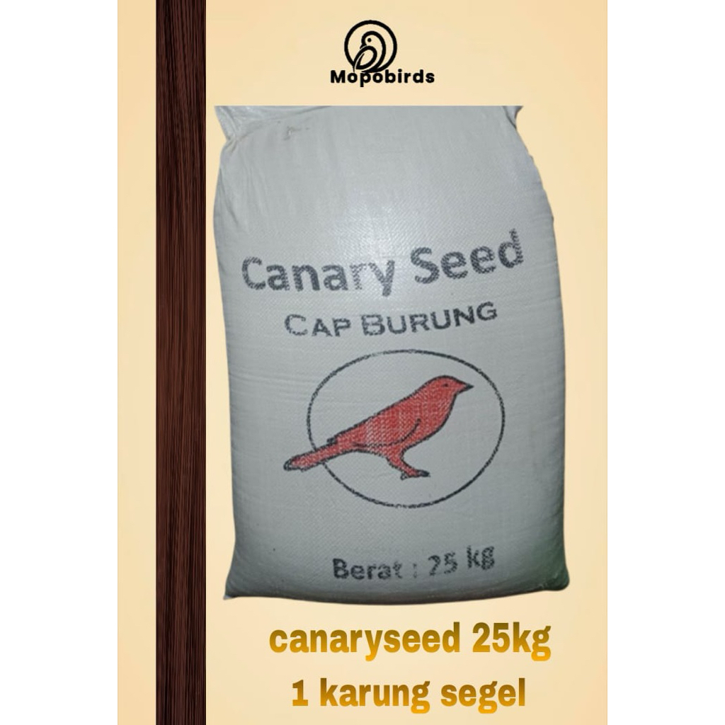 Canary seed/ Kenari sat 1 karung / 25 kg