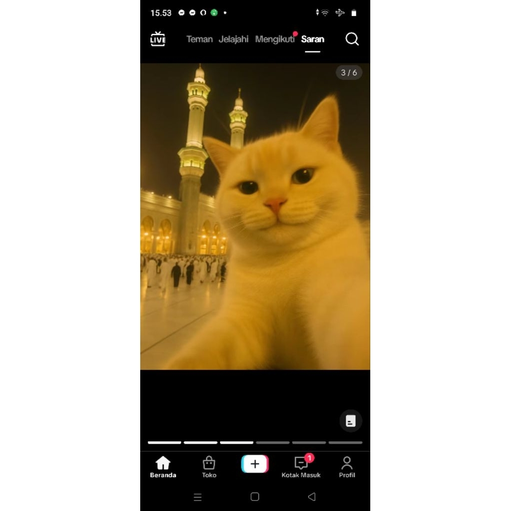 hiasan aquarium channa red barito