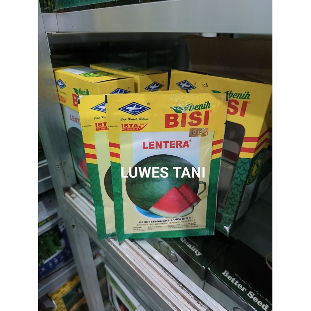 Benih Bibit Semangka Non Biji Lentera F1(Mudah dibuahkan) Isi 20 Gram Kadaluarsa 2026 Terbaru - Beni