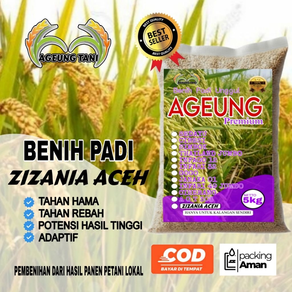 BENIH PADI UNGGUL ZIZANIA ACEH KEMASAN 5KG BERKUALITAS