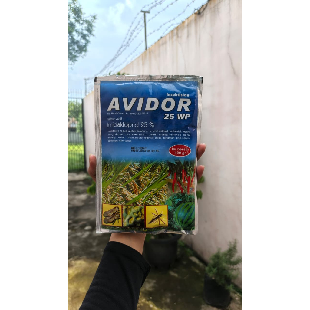 Avidor 25 WP Insektisida Efektif Tanaman Sayur Buah