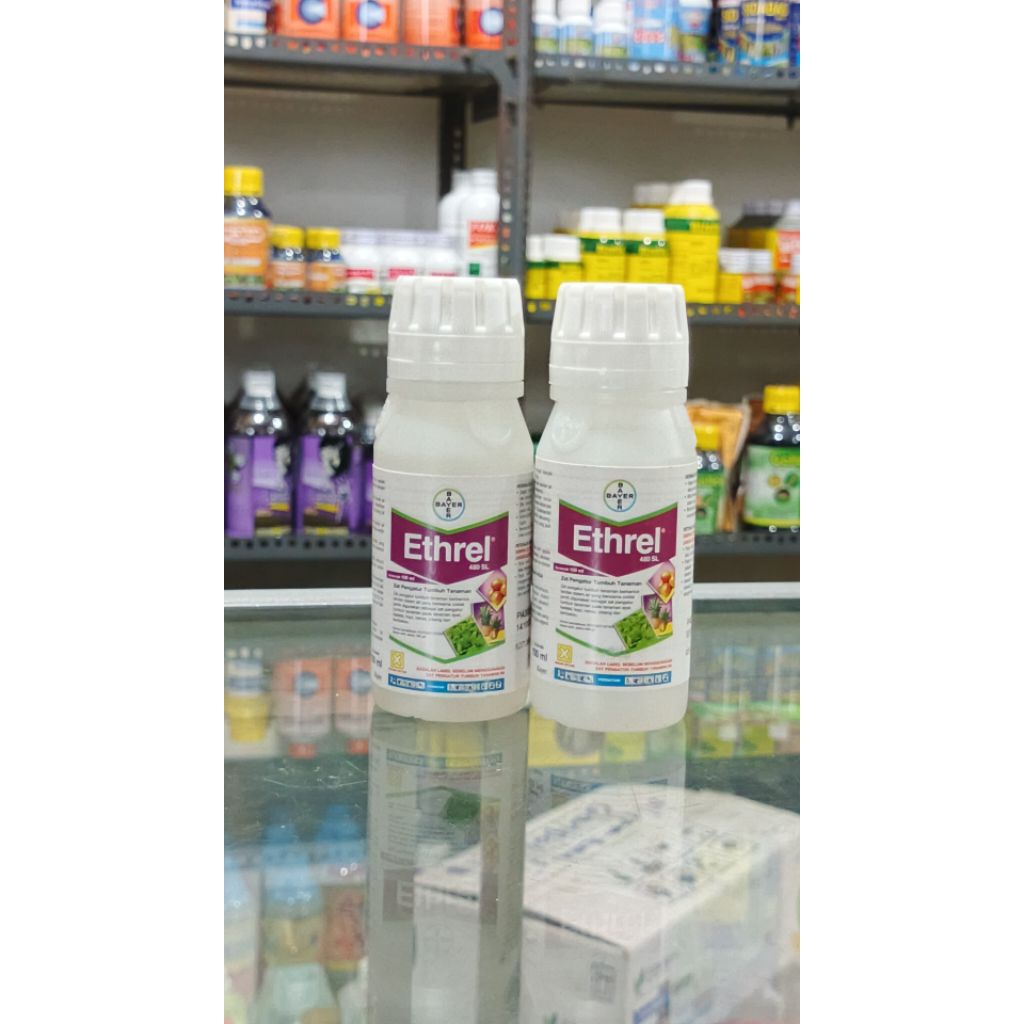 ETHREL cairan pemasak buah