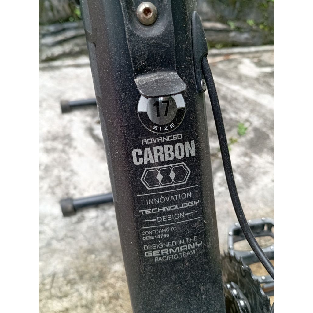 Sepeda MTB Carbon