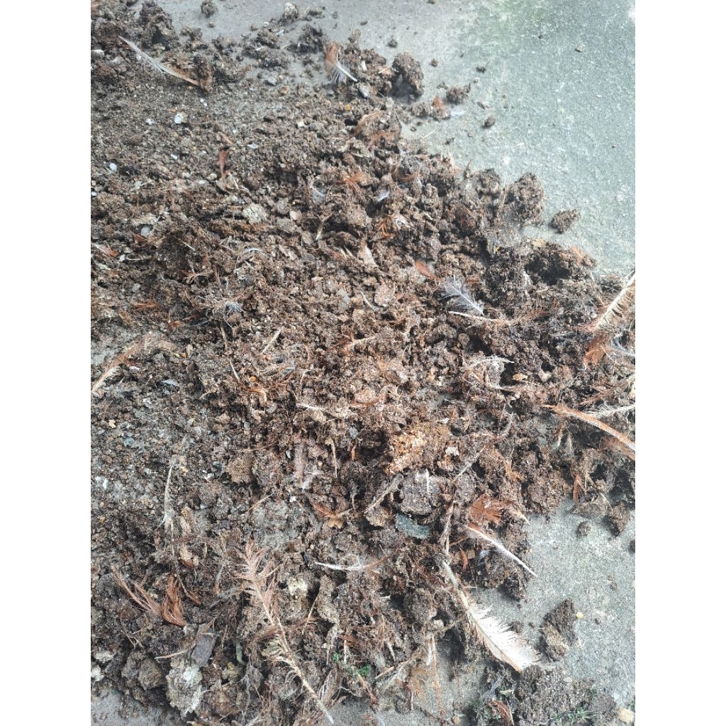 Kotoran Ayam Murni (Pupuk kotoran Ayam) Harga 1kg