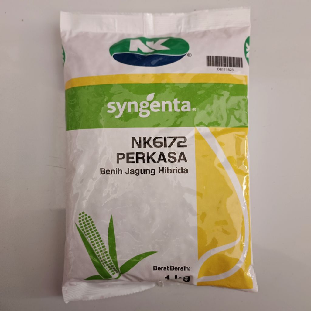 Benih Jagung NK 6172 PERKASA 1KG Benih Jagung Hibrida