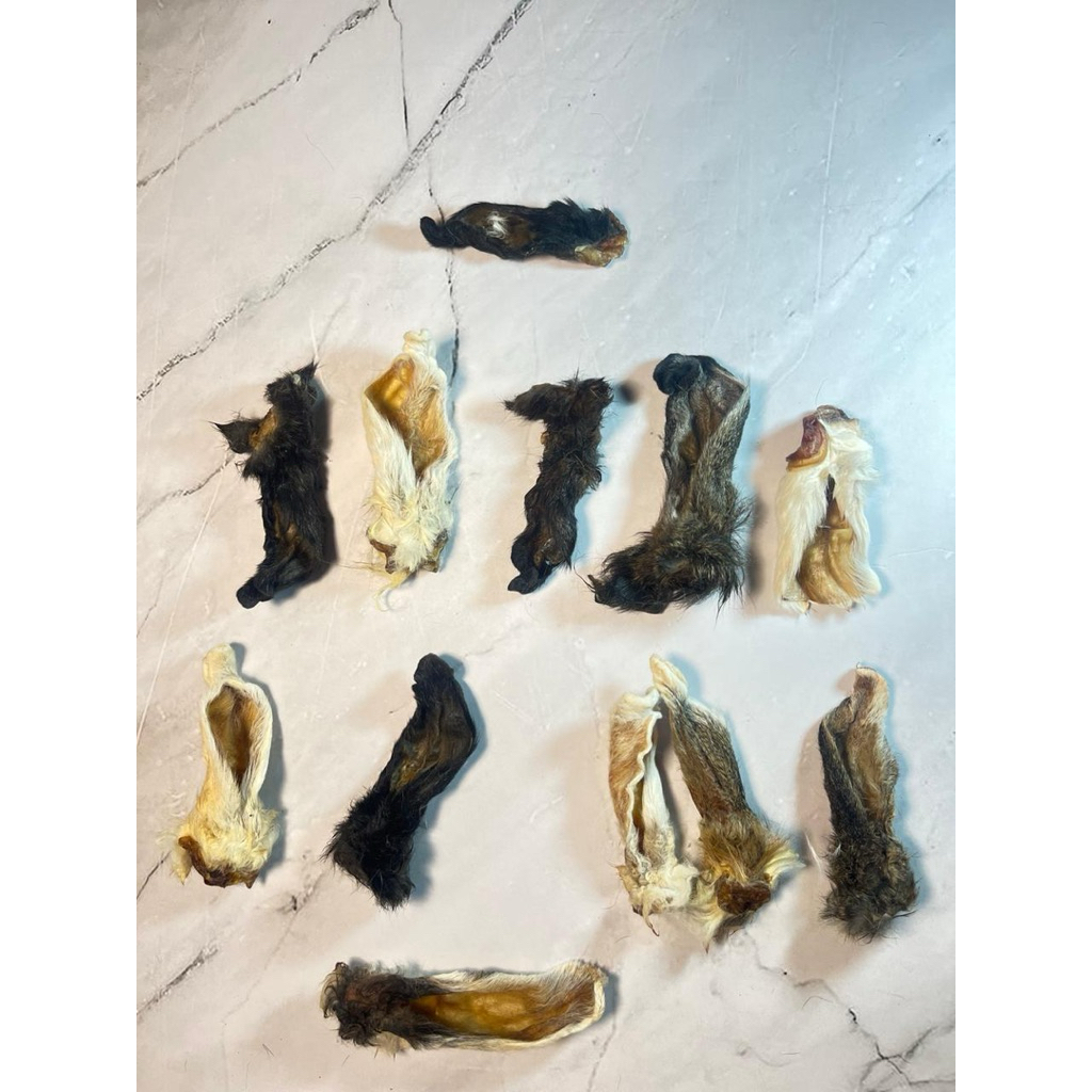 Snack Anjing dan Kucing| Treats Anjing | Kuping kelinci |