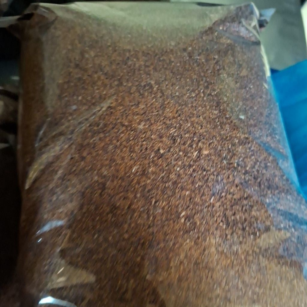 biji benih kayu putih / tanaman kayu putih untuk di buat minyak kayu putih/ UNTUK BIBIT