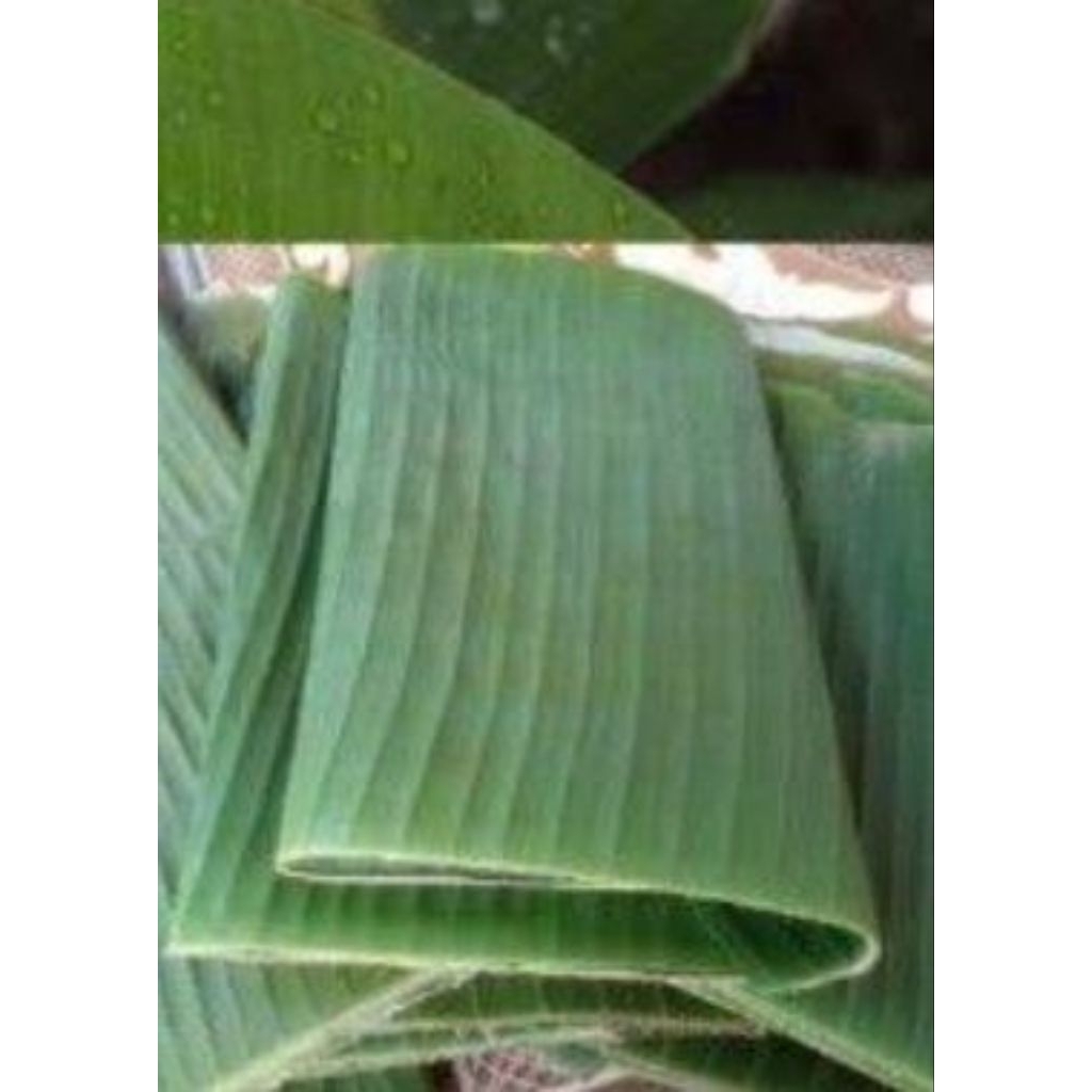 Daun pisang manggala(siem)1 kompet.segar dadakan