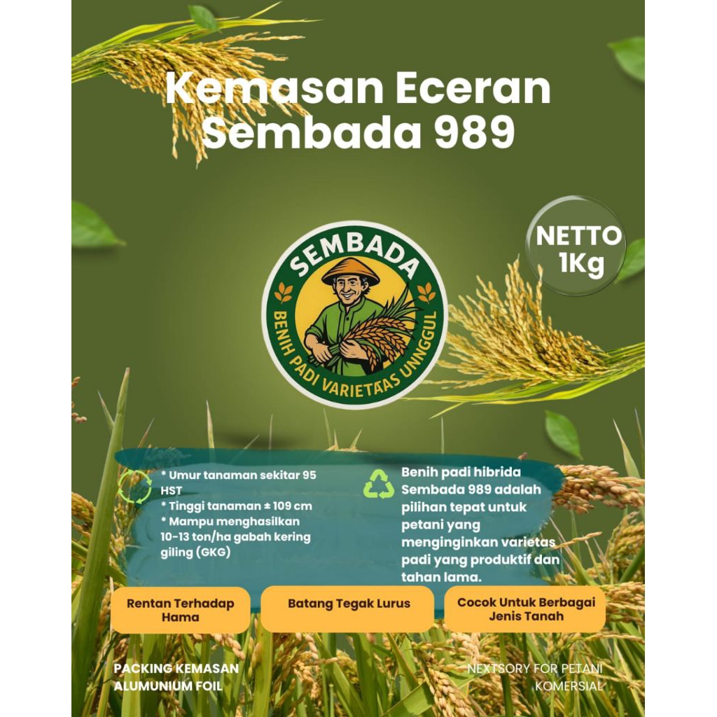 (1KG)BENIH PADI HIBRIDA SEMBADA 989