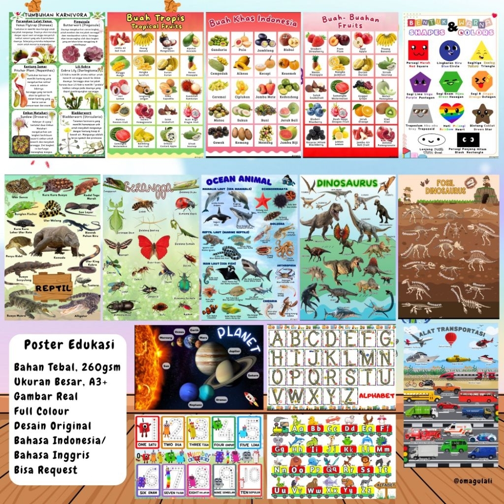 Poster Edukasi Anak Bahan Tebal A3 Bahasa Indonesia Inggris Hewan animal ocean laut dinosaurus bentu