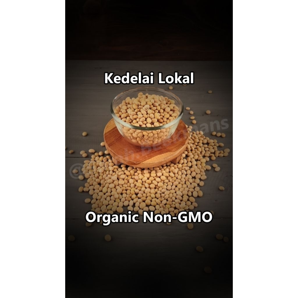 Non GMO kedelai lokal organik soybeans Grade A Premium