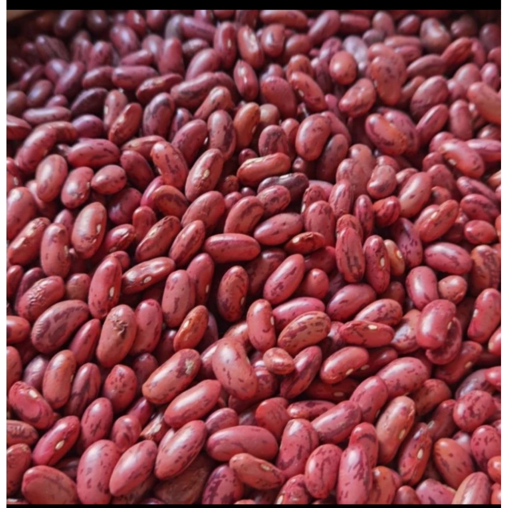 Kacang Merah Kupas Segar