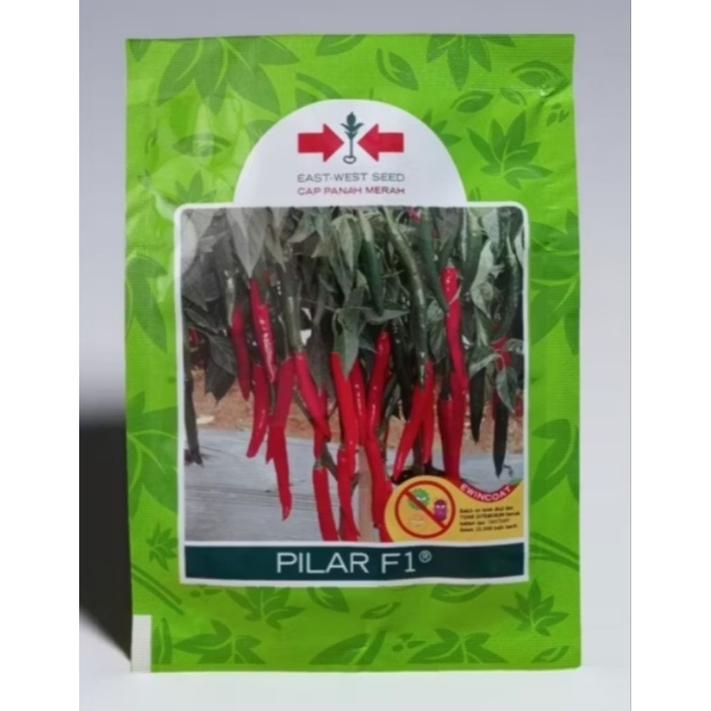Benih cabe besar PILAR F1