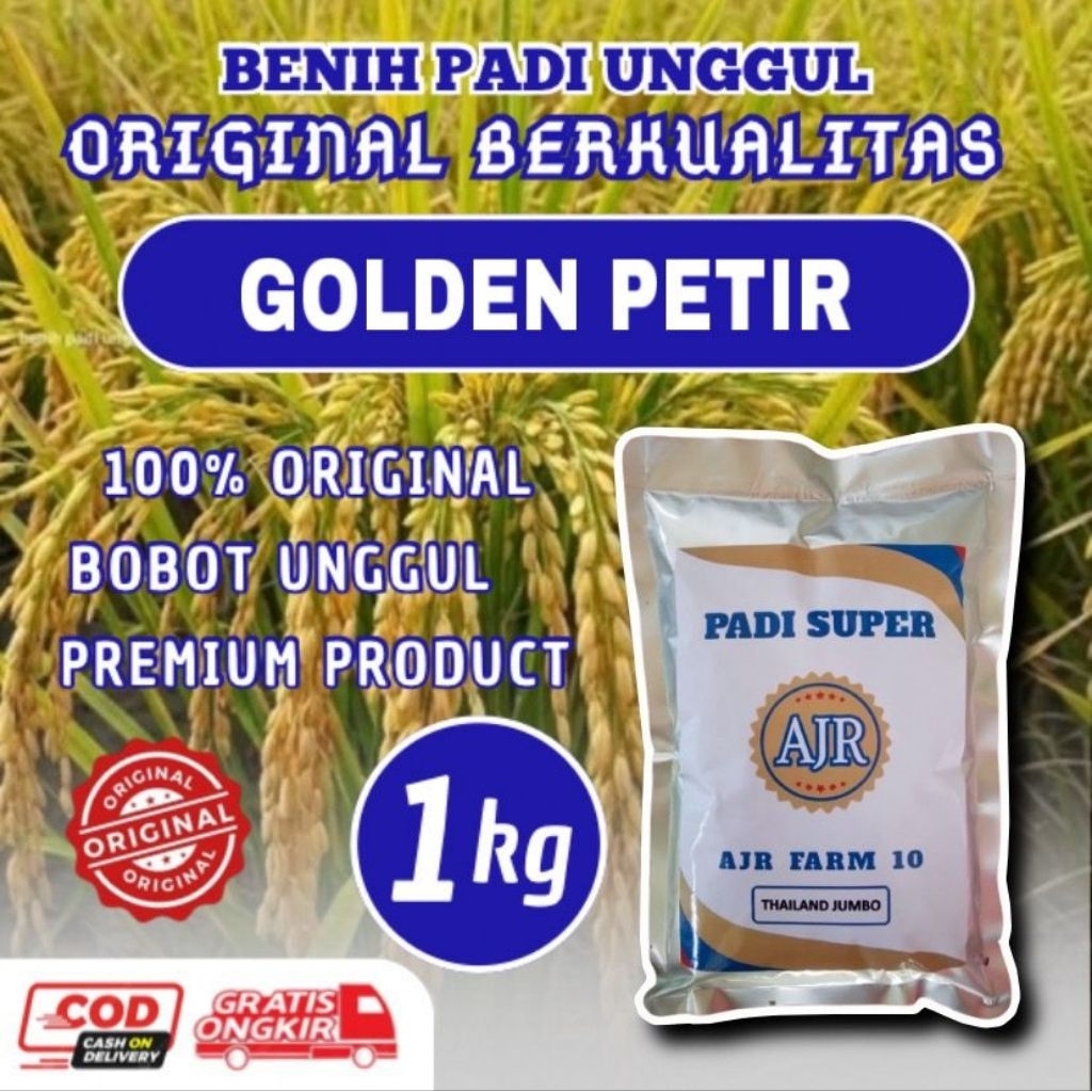 Benih padi unggul GOLDEN PETIR 1kg