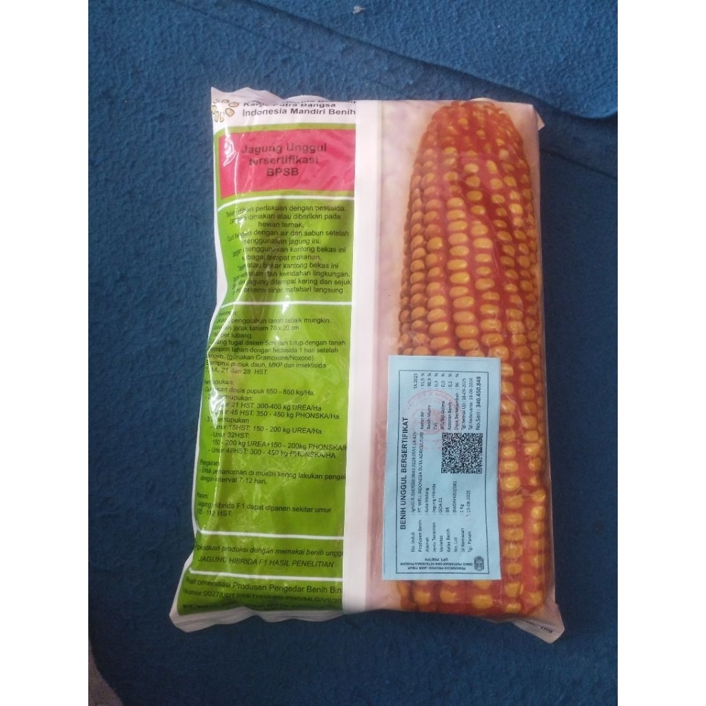 BENIH JAGUNG HIBRIDA