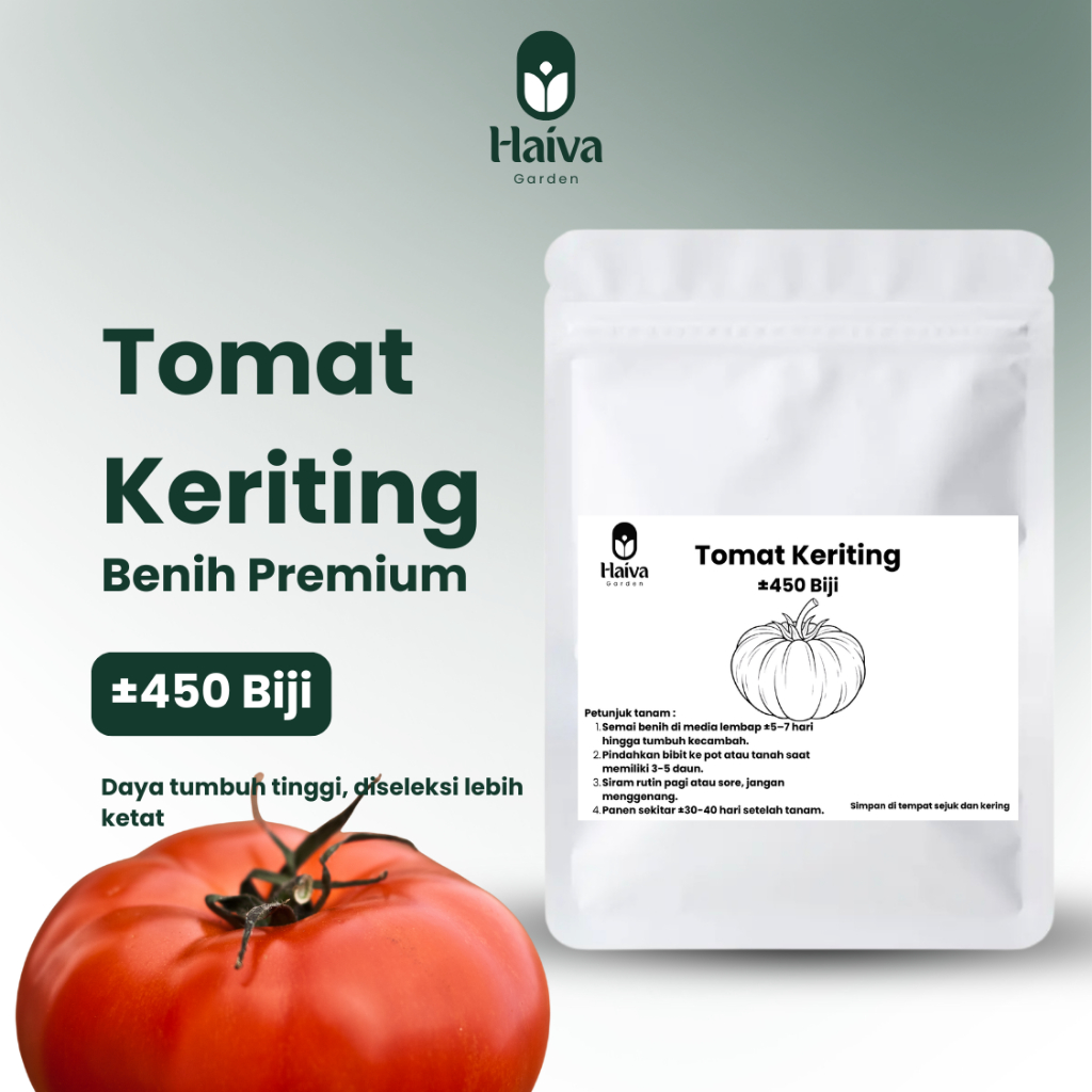 Benih Tomat Keriting Mawar Sayuran Premium Unggul Segar Isi 450 Biji