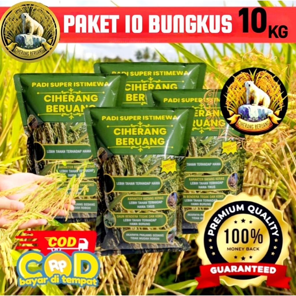 BENIH PADI CIHERANG BERUANG PAKET 10 BUNGKUS 10KG