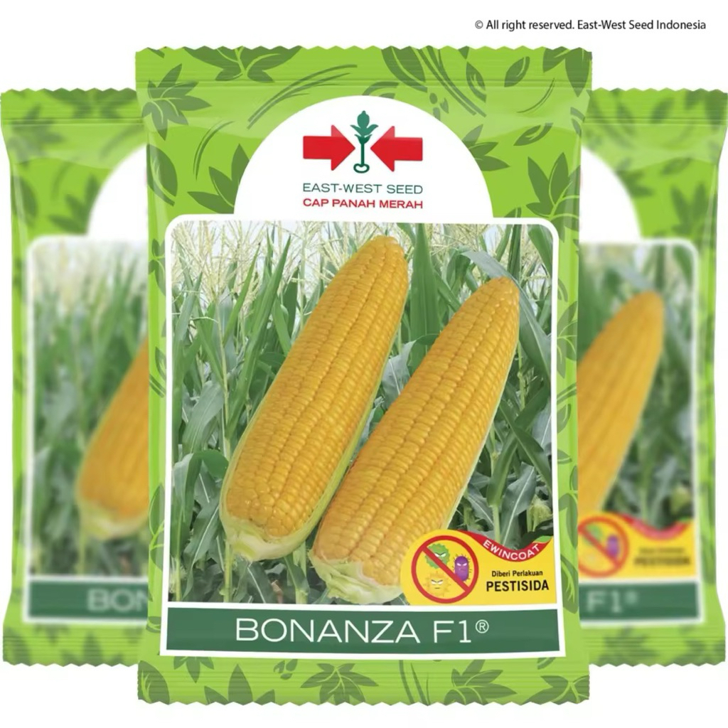 JAGUNG BONANZA F1 isi 1800butir, jagung manis