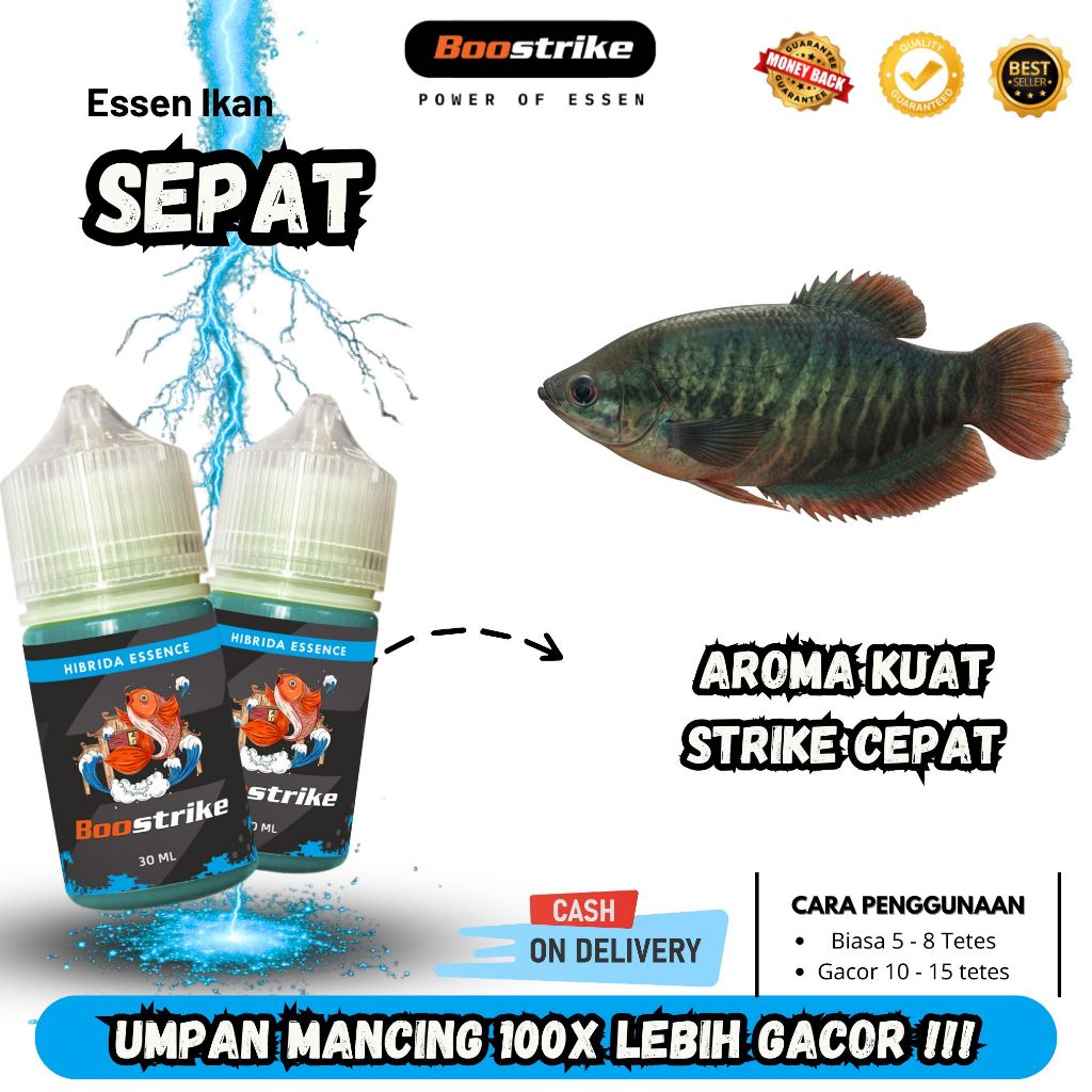 Essen Ikan Sepat Jos Gandos No Boncos | Essen Boostrike 30ml