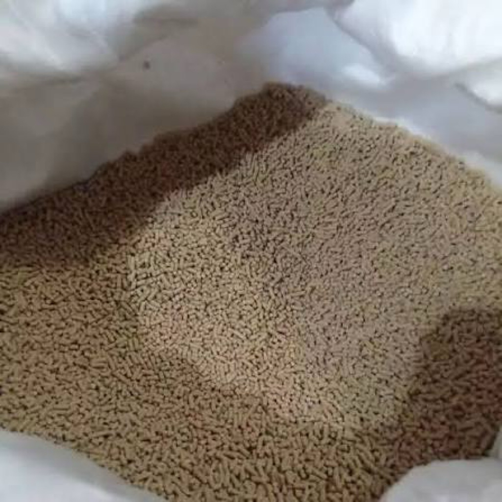 PELET PAKAN UDANG/LOBSTER