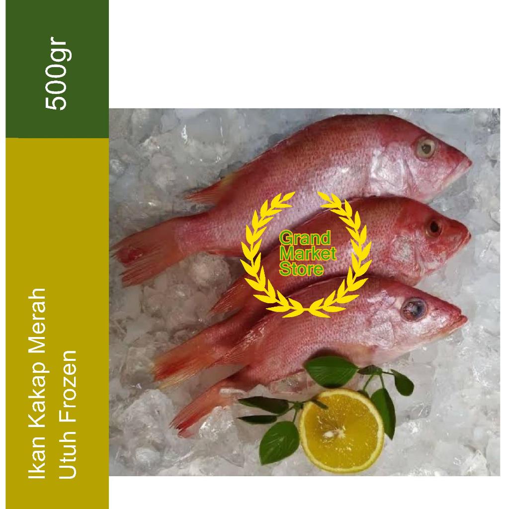 Promo Spesial Ramadhan Ikan Kakap Merah Frozen 1 Kg/Ikan Kakap Merah 1 kg isi 2-3 ekor/ Seafood/Ikan