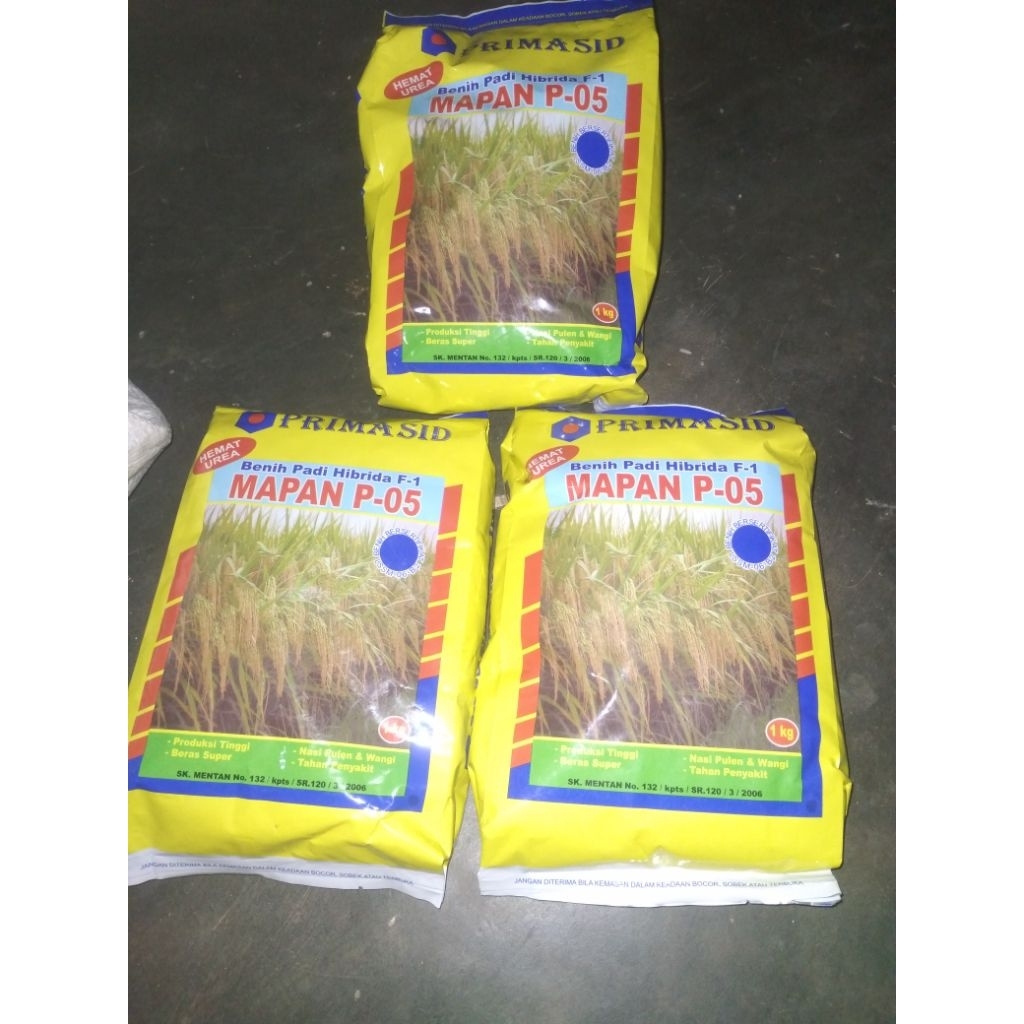 BIBIT MAPAN P - 05 ORIGINAL BIBIT PADI HIFRIDA F1