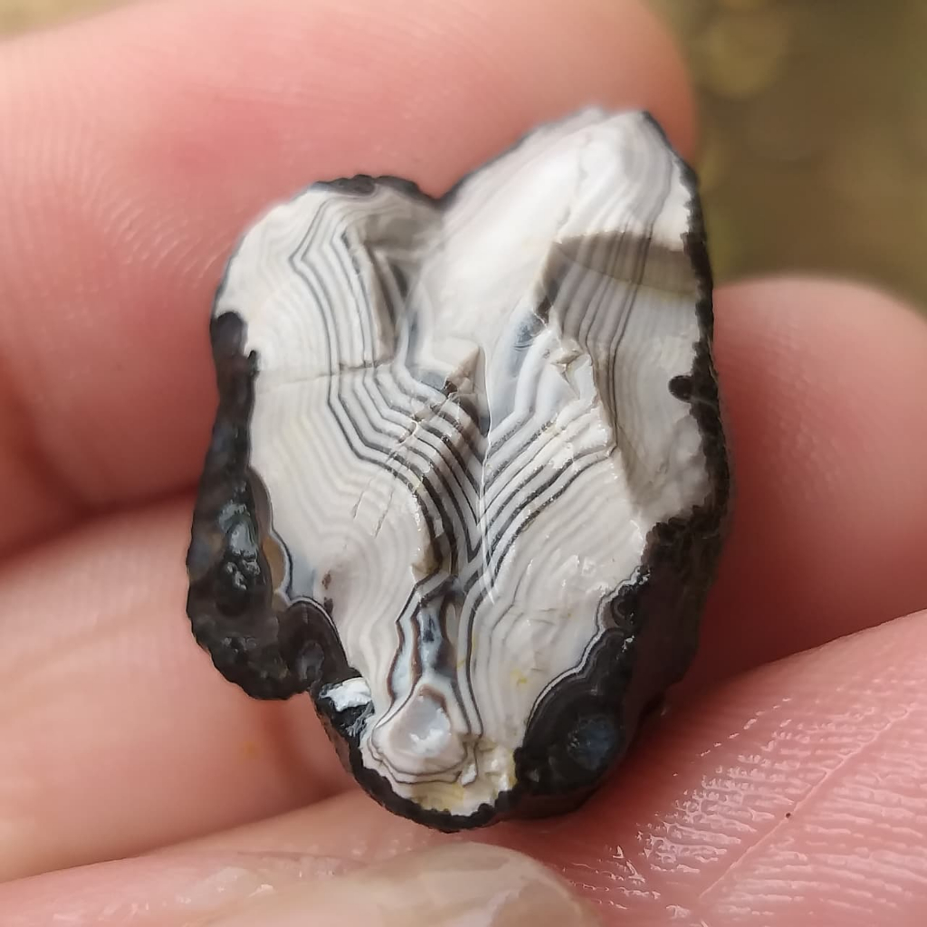 Batu Akik Karang Nunggal Asli Motif Full Pamor Junder  Galaxy Tegas Bahan Unik Antik Langka Natural 