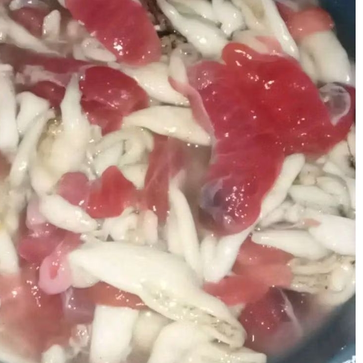 Telur Cumi Segar Beku Murah Grosir cocok buat dijual lagi