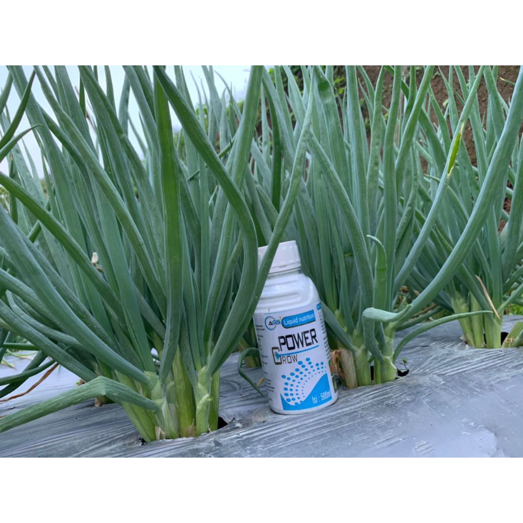 POWER GROW MULTIVITAMIN TANAMAN ISI 500ml