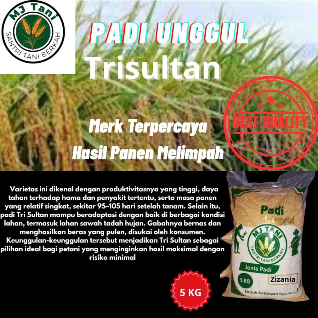 Bibit padi unggul TRISULTAN kemasan 5 KG