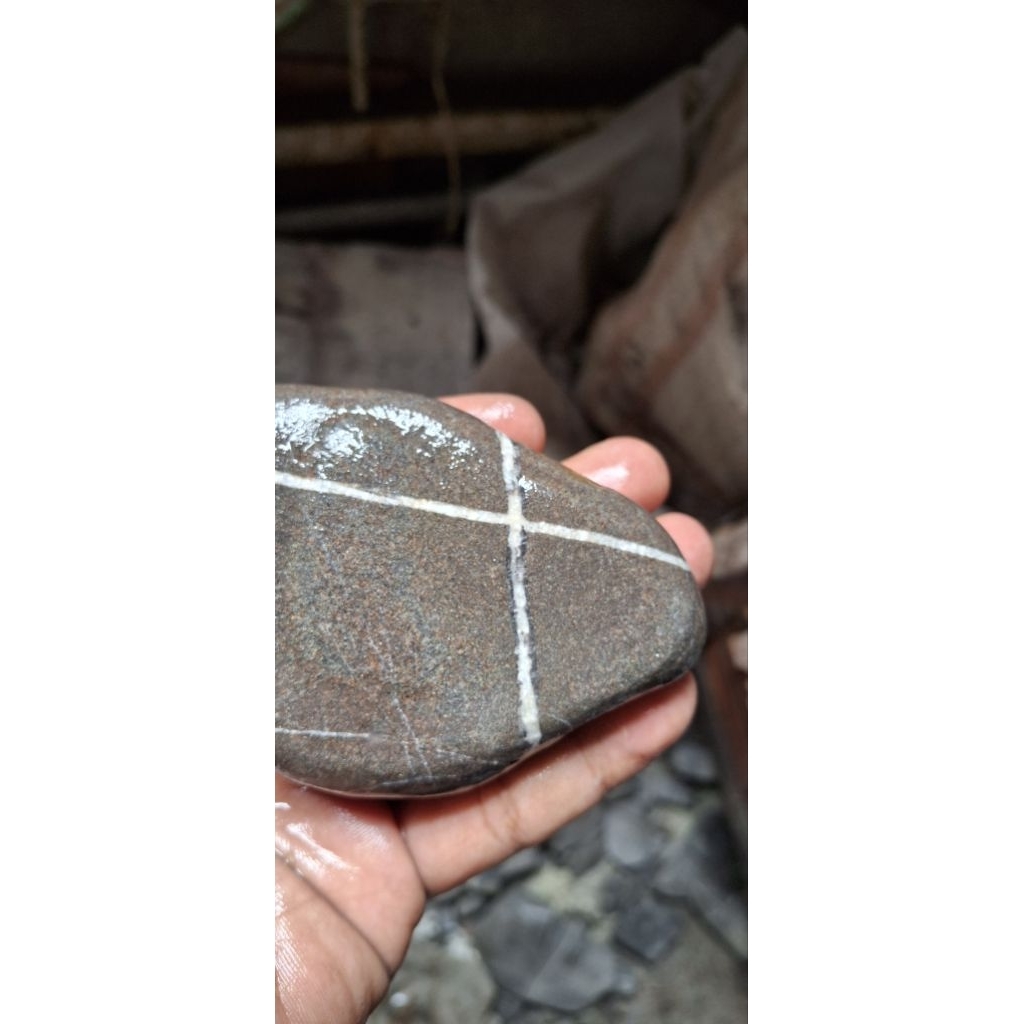 akik tapak jalak badar emas