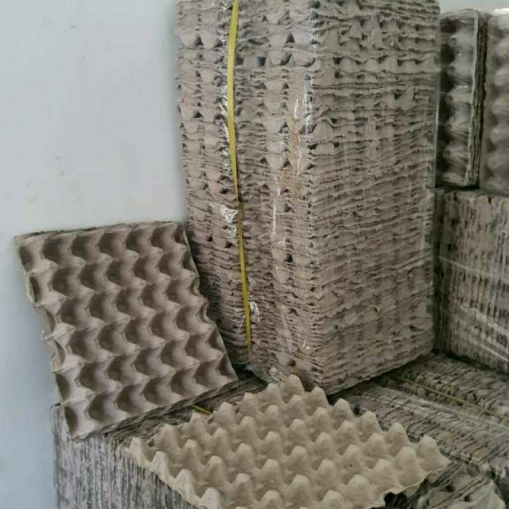 Egg Tray Telur Bekas 5 Pcs