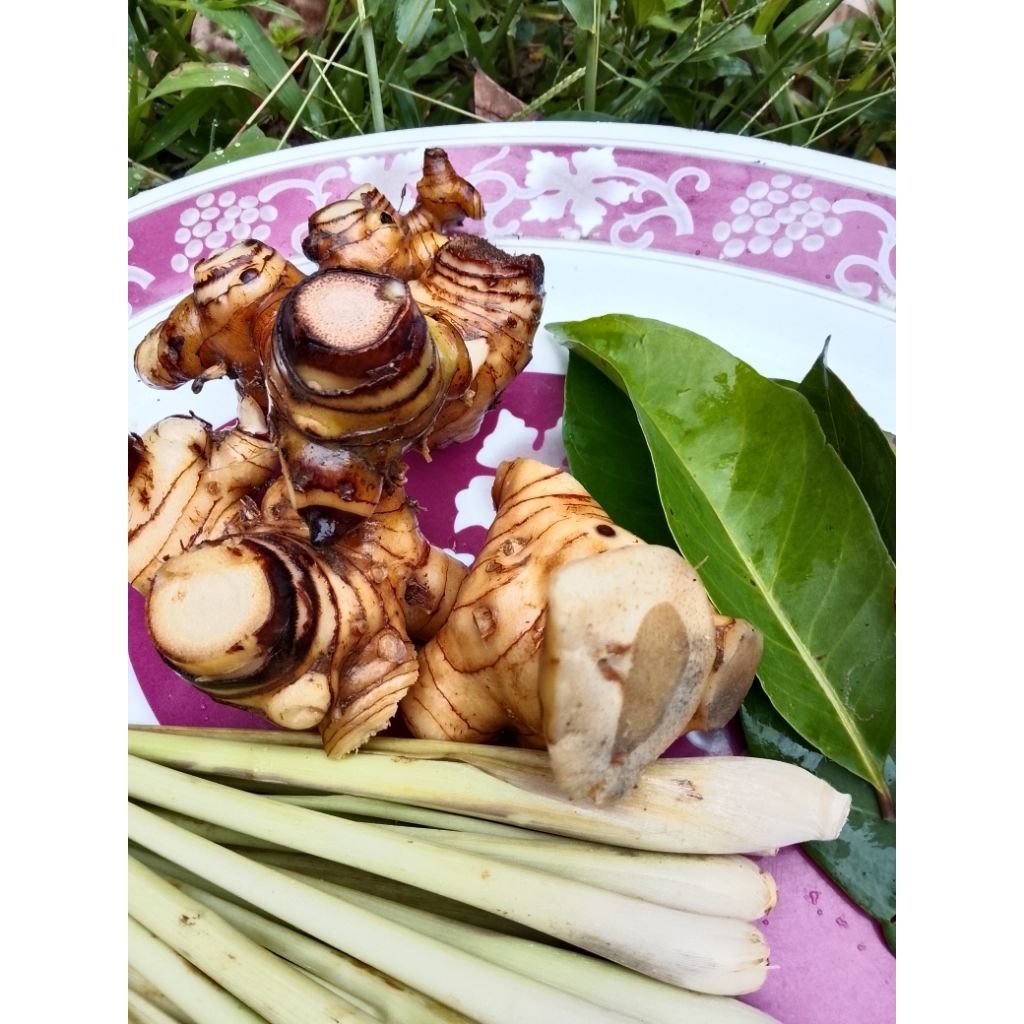 lengkuas bumbu masak 1kg /lengkuas rempah/lengkuas 500gram