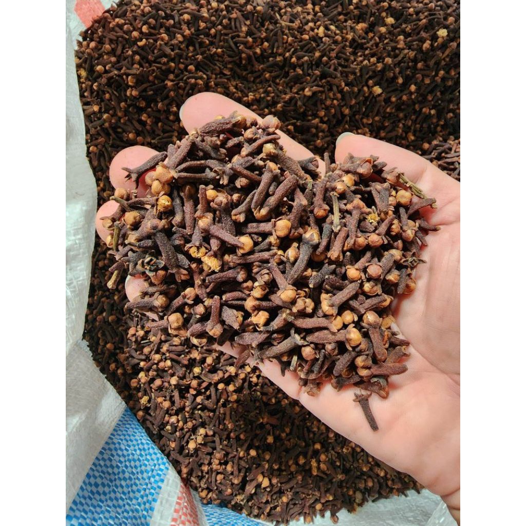 CENGKEH KERING KUALITAS BAGUS