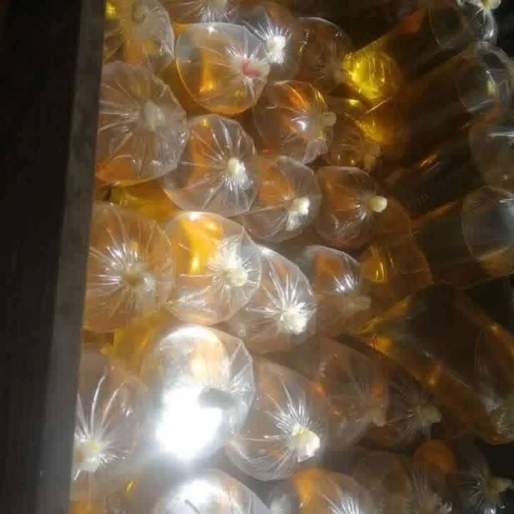 minyak goreng curah setengah liter