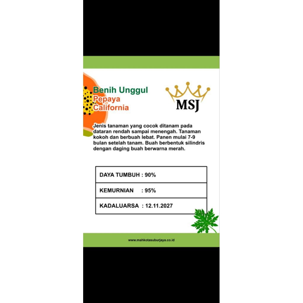 BENIH PEPAYA CALIFORNIA KUALITAS TERBAIK 5 GRAM ISI 250 BUTIR