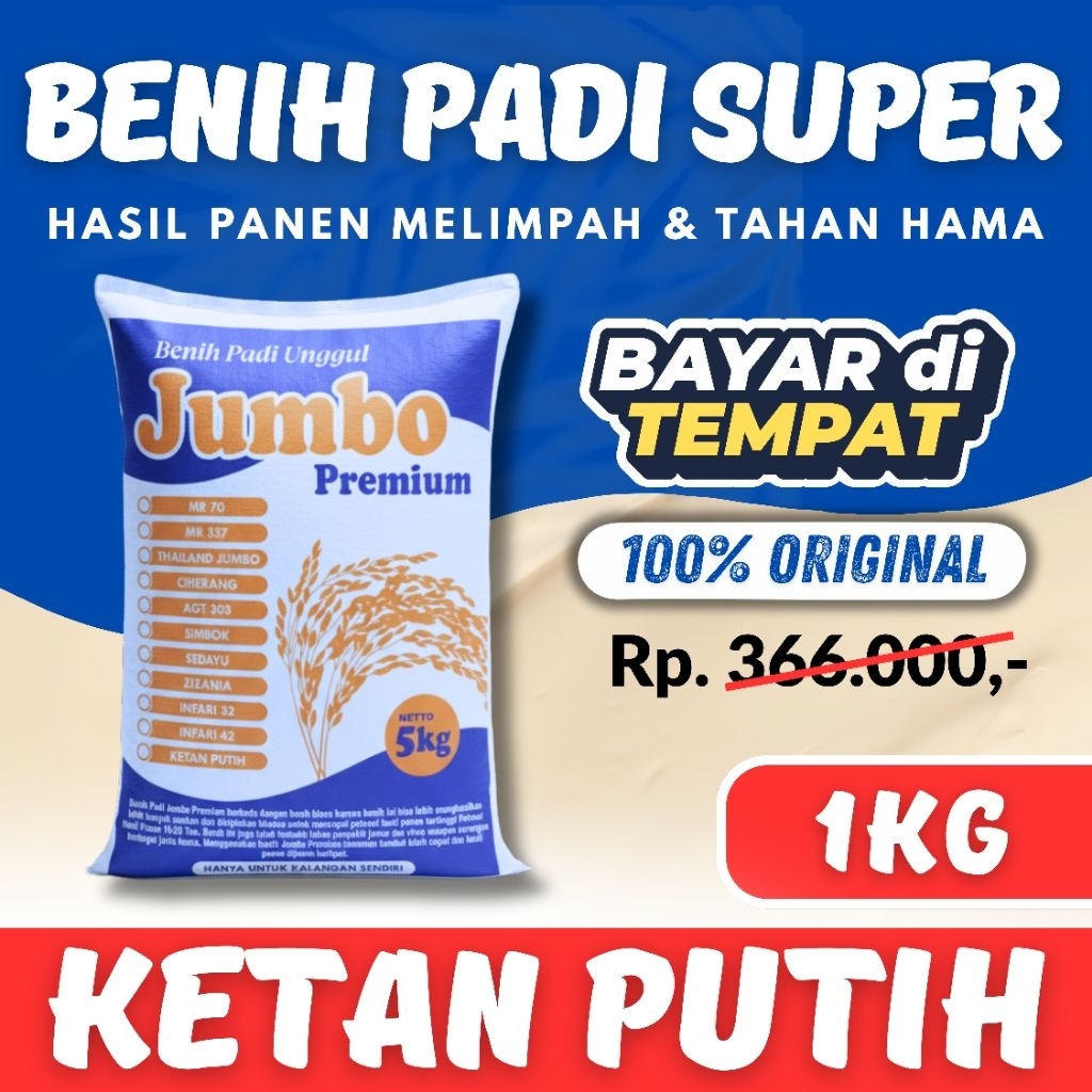 Benih Padi Unggul Ketan Putih Kemasan 1Kg